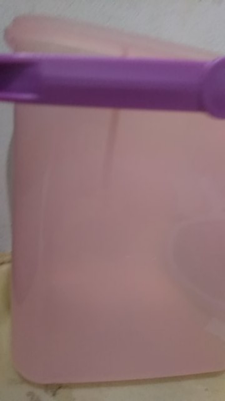 Onyx Kotak Penyimpanan / Vito Box Small Barbie Pearl Princess 5.2 L