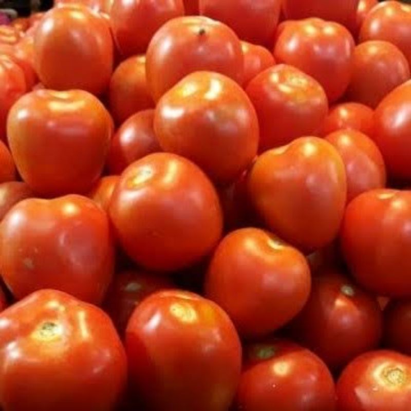 

Tomat Segar 250gram