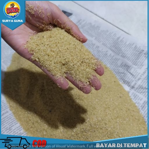 Telur Jangkrik 100 gram kualitas unggul alam cliring