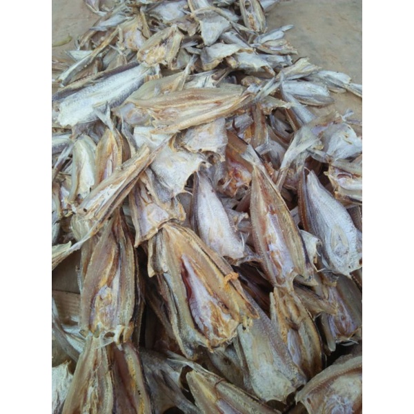 

ikan asin belah bloso paling murah