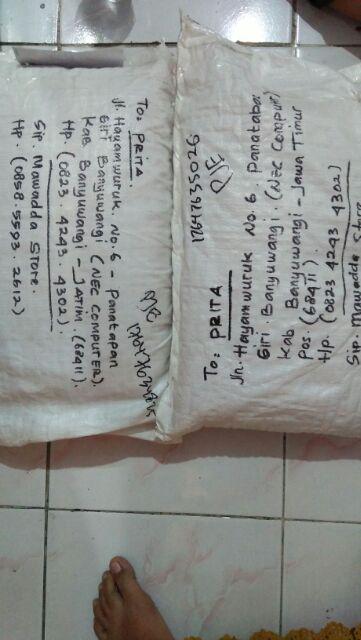 Benih Padi Siam - Siam Bibit Unggul