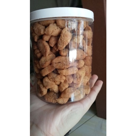 

biji ketapang