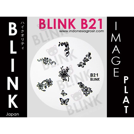 BLINK Image Plate B10 - B22