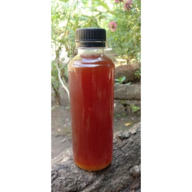 

madu Klanceng
