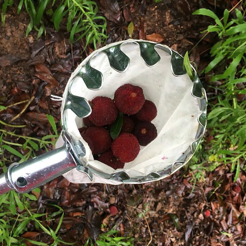 Alat Pemetik Buah - berkebun - fruit picker