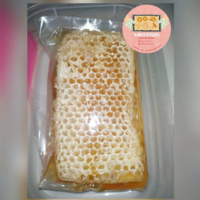 

Sarang Madu Melifera