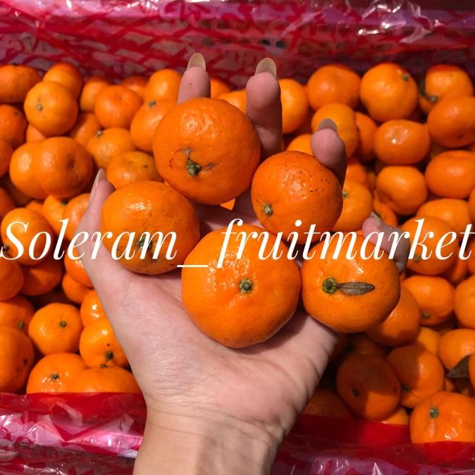 

Jeruk Santang / Shantang / Kecil Mandarin Imlek Manis