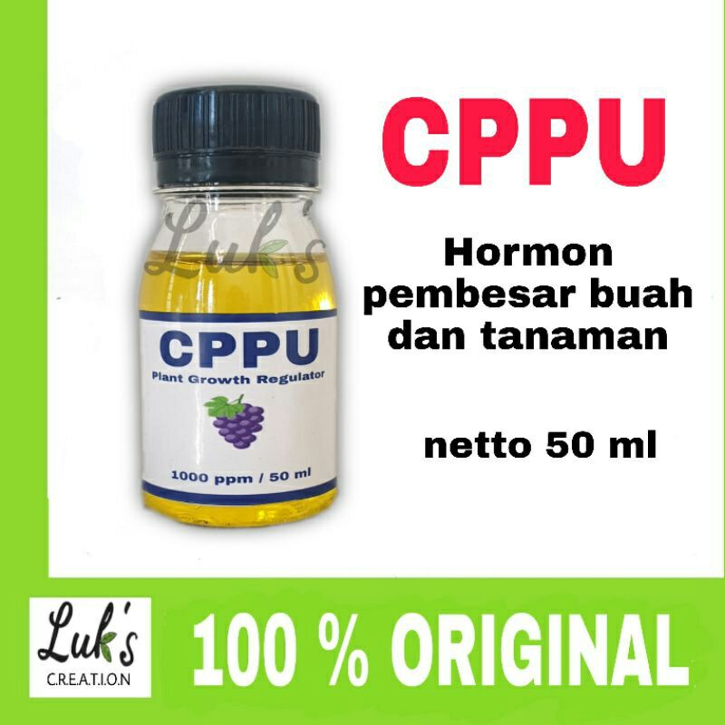 CPPU hormon pembesar ukuran buah dan tanaman hias