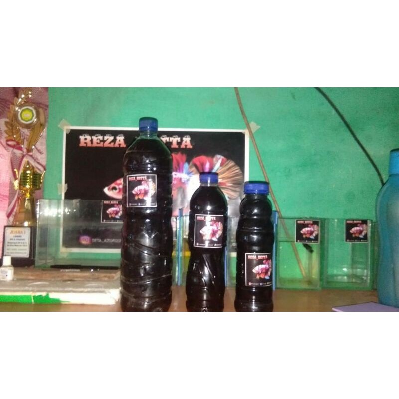 extra ketapang untuk ikan cupang 1 liter air