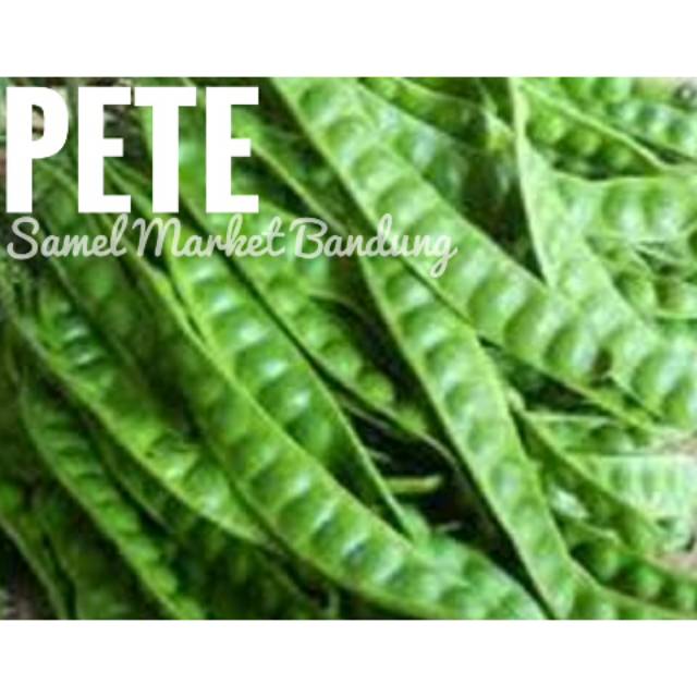 

Pete Segar