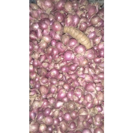 

Brambang / bawang merah campur / Bawang merah nganjuk