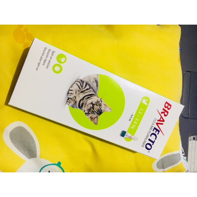 Bravecto Spot On For Small Cat Harga Per Tube