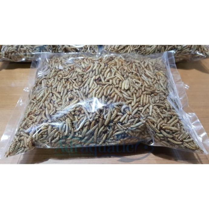 MAGGOT KERING 250GR LARVA BSF MAGOT PAKAN IKAN KOI UNGGAS BURUNG AYAM adr4q Ayo Beli