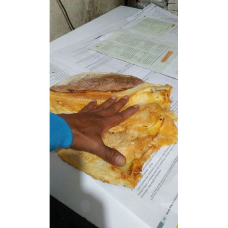 

Ikan asin jambal roti super 1 kg asli Pangandaran