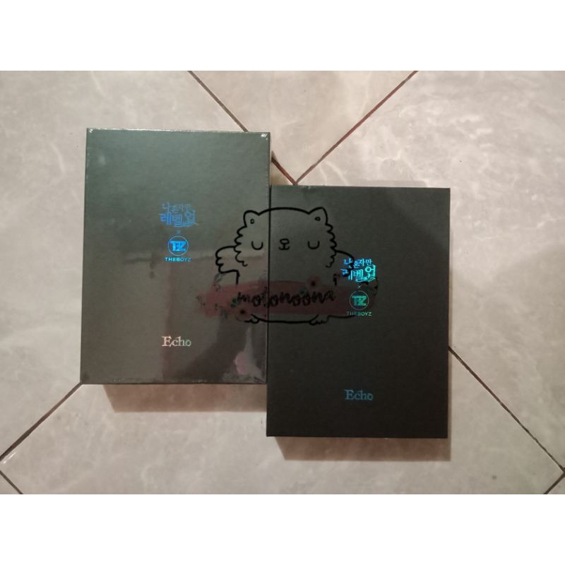 [PLNSN] THE BOYZ - ECHO OST SOLO LEVELING ALBUM