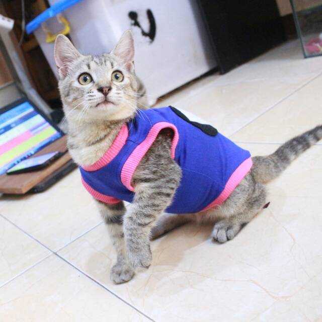 Kaos biru motif ikan lucu untuk kucing dan anjing size S M L XL