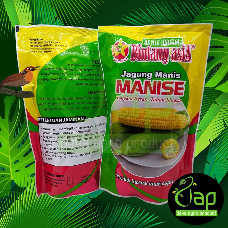 BIBIT BENIH JAGUNG MANIS MANISE 250GRAM