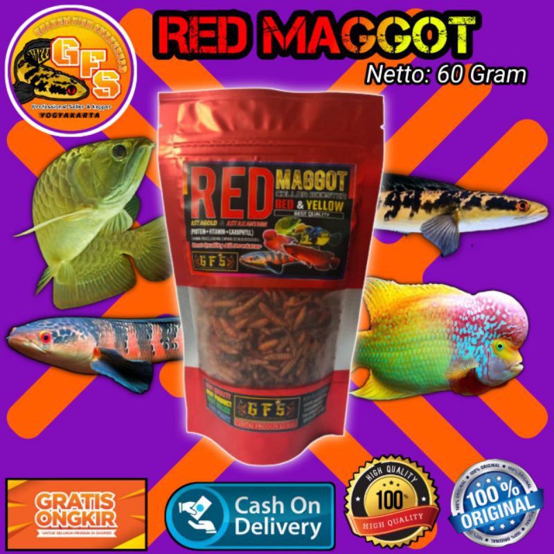 Pakan ikan GFS feed store RED MAGGOT Maggot red&amp;yellow booster