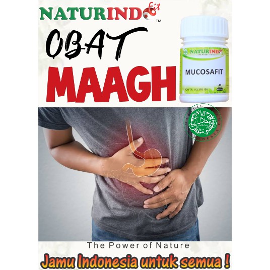 Obat Magh maag mag Gerd Asam Lambung Cacingan Perih Napsu Makan Perut Melilit Herbal Mucosafit 50 Ka