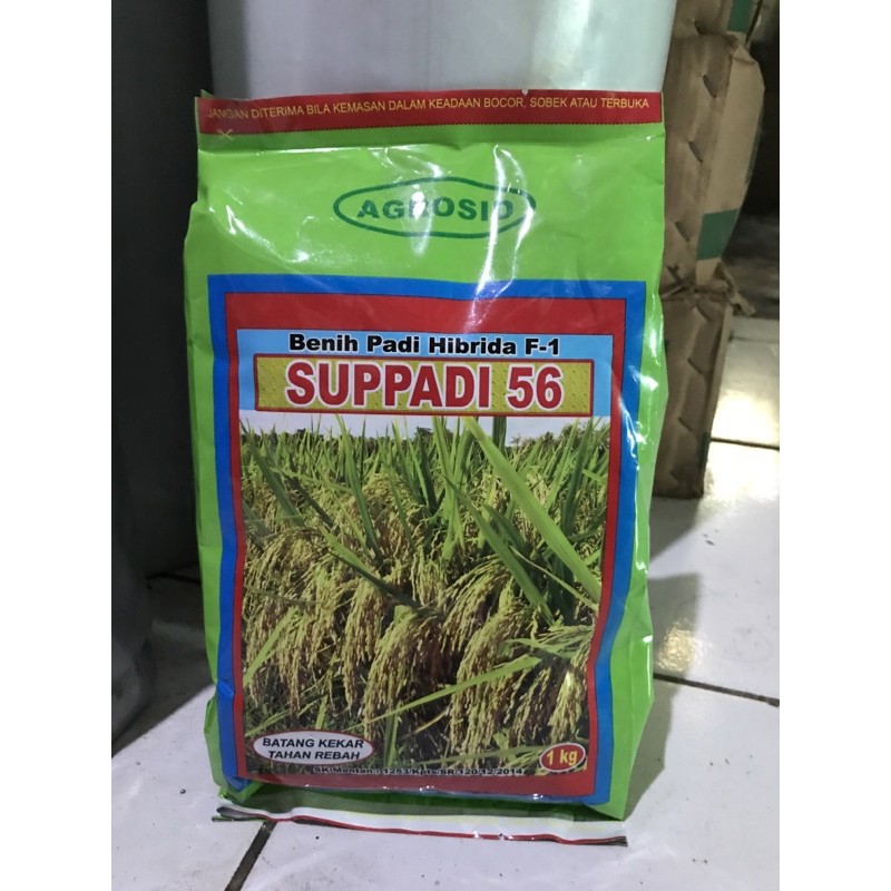 Benih Padi Hibrida Supadi 56