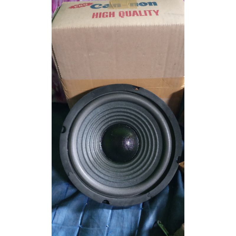 speker cannon pro 8in woffer 818 w 200watt