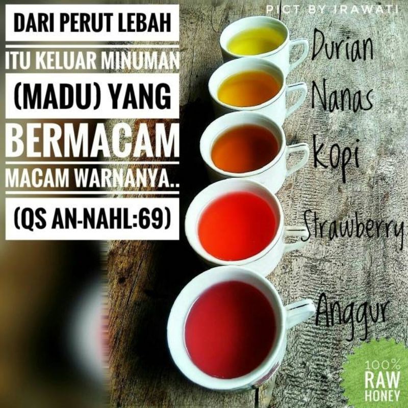 Madu Hutan Zaida 75 ml (Zaida Raw Honey)