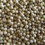 

Merica Bulat /White Pepper Whole / Lada Putih Utuh / Biji Merica Putih - 100gr