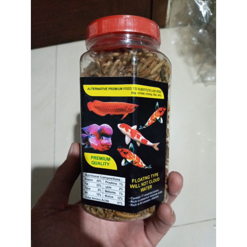 PAKAN IKAN CHANNA PREDATOR ULAT HONGKONG KERING MAGGOT SUPER HSW Berat 135 gr