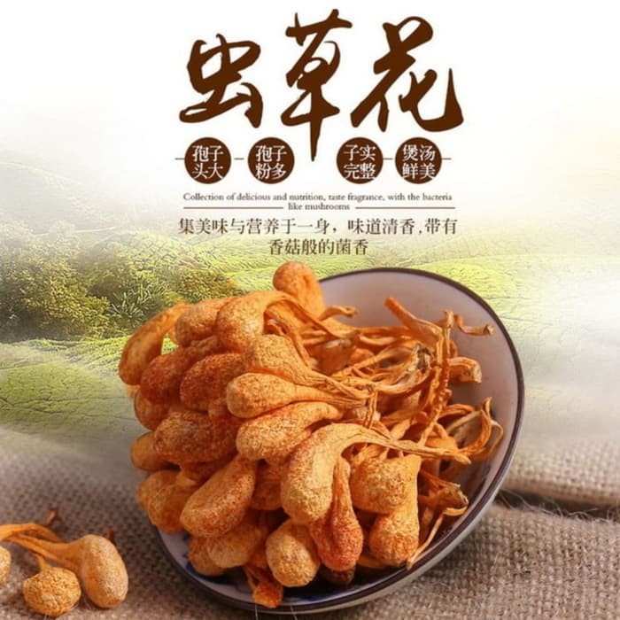 CORDYCEPS MUSHROOM FLOWER PREMIUM QUALITY (50 GRAM)