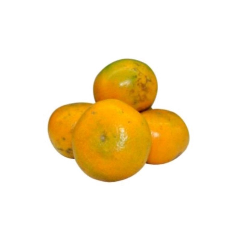 

Buah jeruk Medan super /manis dan fresh