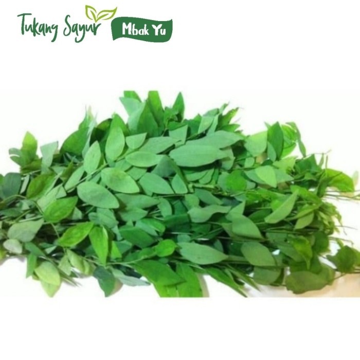 

Daun katuk 1 ikat