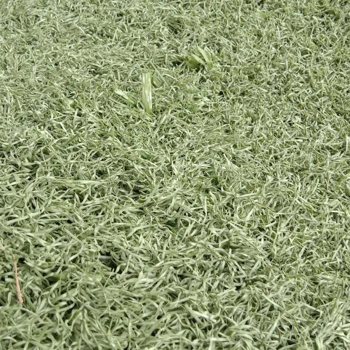 rumput sintetis second