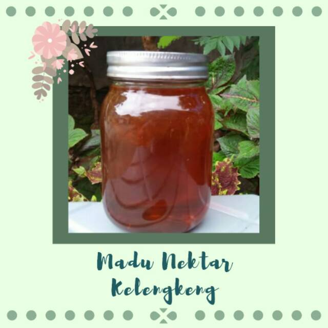

Madu nektar kelengkeng