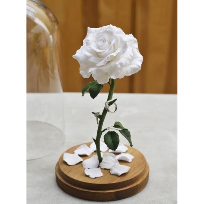 

KADO VALENTINE WHITE ROSE KUBAH KACA DG654EAFVD