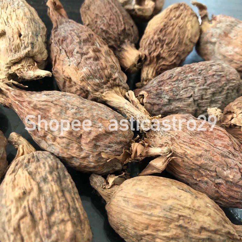 

1 BUAH, 1 BULAT Alligator Pepper Aligator Pepper Afrika