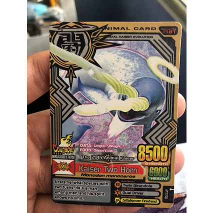 Animal Kaiser Kaiser Two Horn