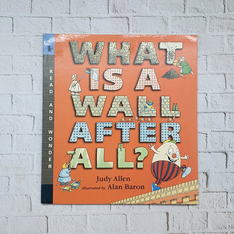 What Is The Wall After All ? - Judy Allen