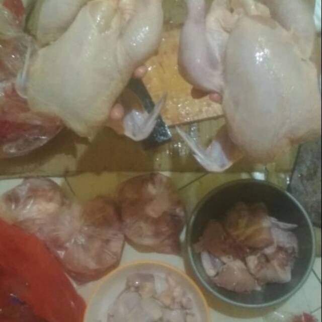 

Ayam fresh