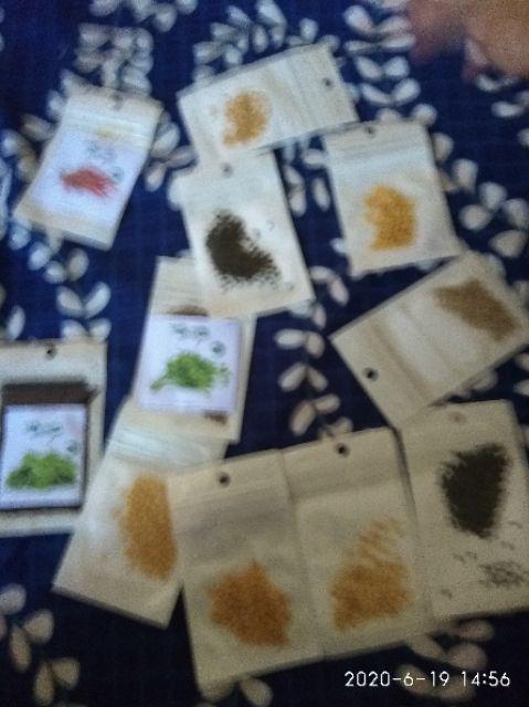 Benih Cabai Cabe Keriting Kastilo F1 Isi 150 Biji - Cap Panah Merah