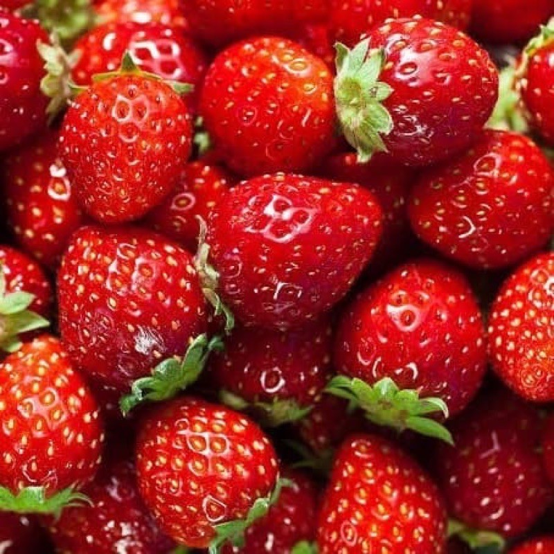 

Buah Strawberi Organik Strawberry Fruit Fresh 250gr Aeeshastore