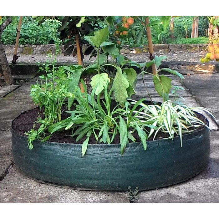 RAISED PLANTER BAG DIA 100 X 25 CM POT POLYBAG TANAMAN BUNGA SAYURAN