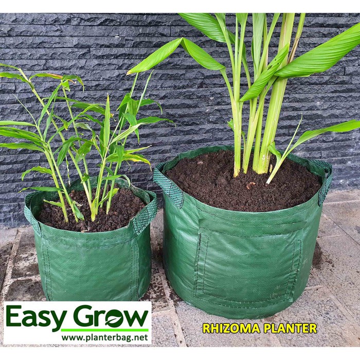 EASY GROW - RHIZOMA PLANTER BAG size L - pot jahe - planter jahe - pot rimpang - planter rimpang