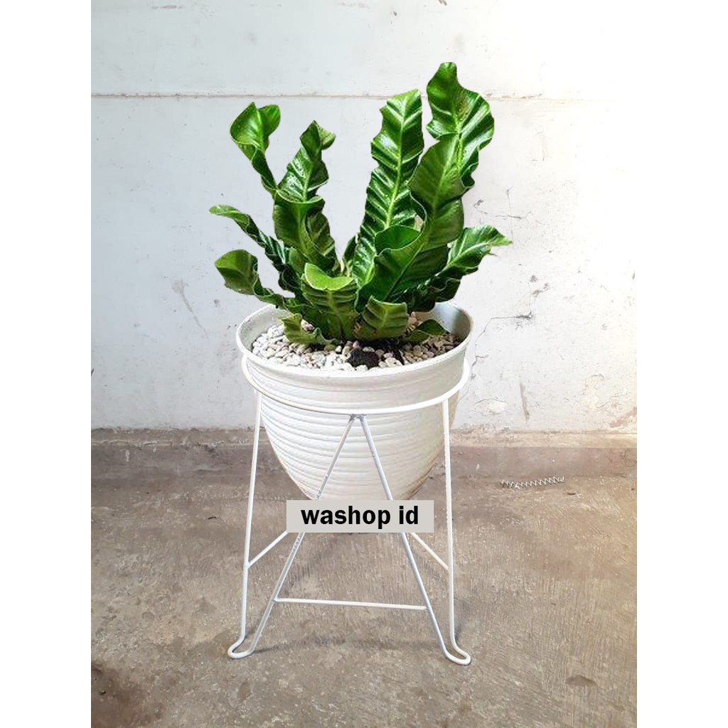 Standing Pot Single isi 1 warna Putih Rak Tanaman Hias Wadah Pot Minimalis Stand Pot Besi D30 cm