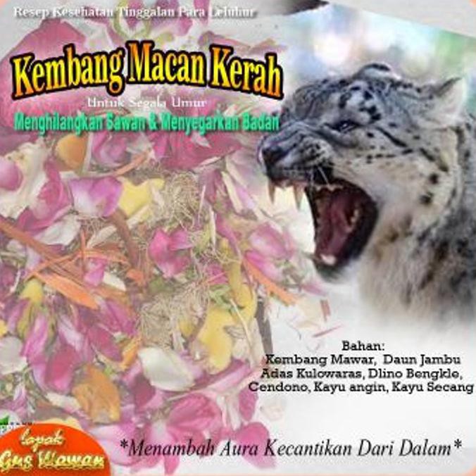 Ramuan Tradisional Mandi Spa Kembang Bunga Macan Kerah