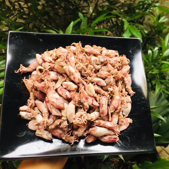 

Promo Ikan Asin Cumi Asin Murah Kiloan - 1Kg