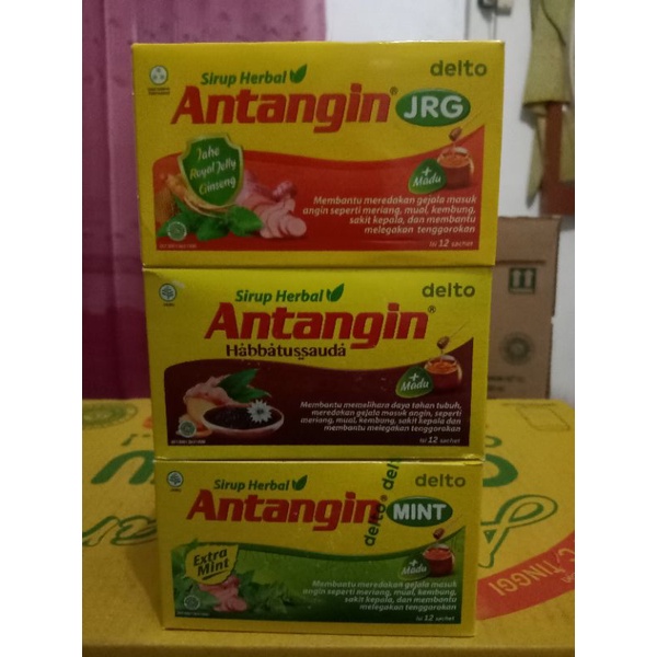 Antangin Sirup Herbal Box (12 Sachet) JRG