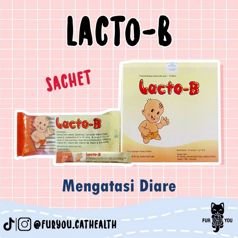 lacto B kucing, kucing diare