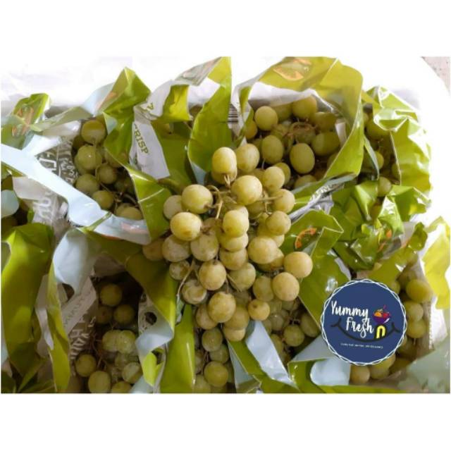 Anggur Hijau Autumn Crisp Tanpa Biji.