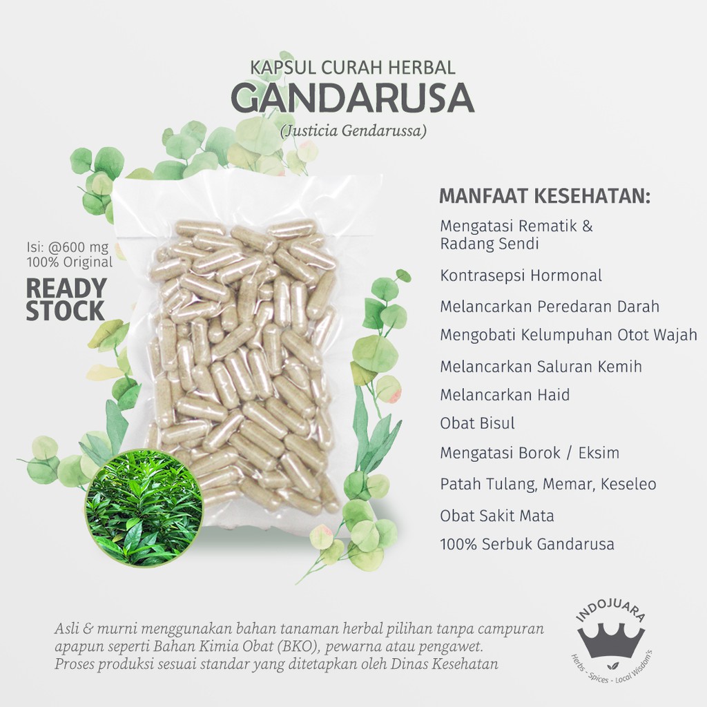 

GANDARUSA 100 Kapsul Curah Herbal Bisul Salurah Kemih Haid Bell's Palsy Rematik Eksim Borok 600mg