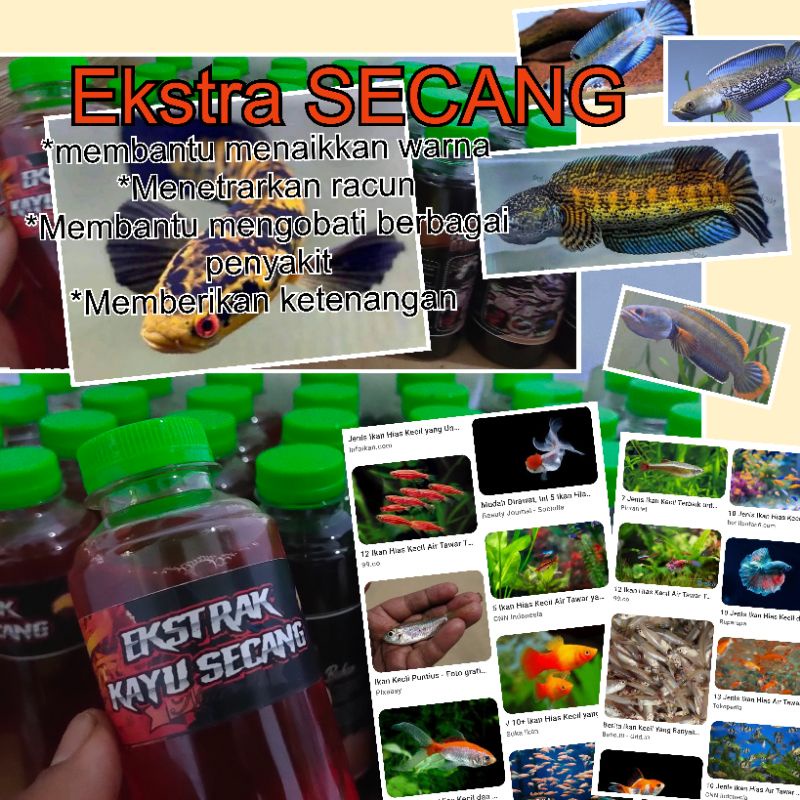 

ektra secang kemasan 250ml